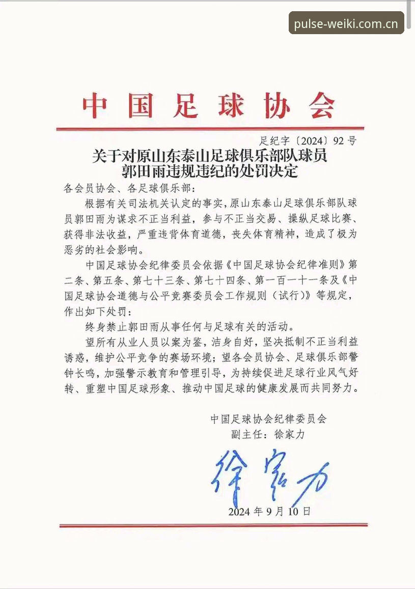 中国足协禁足名单深度解析：行业整治完整指南