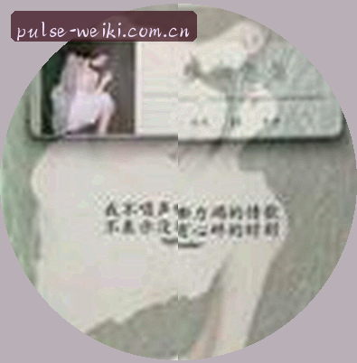 陈磊