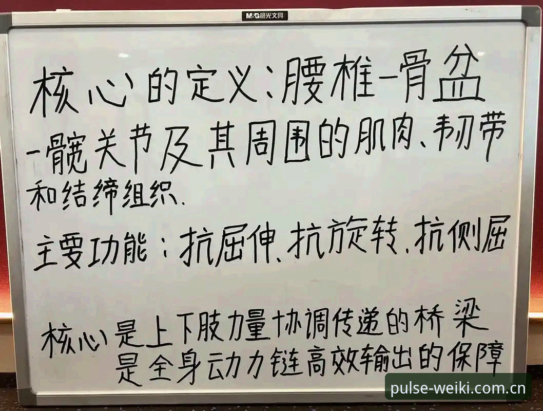 新手必看：维基体育平台使用心得与靠谱性深度体验分享